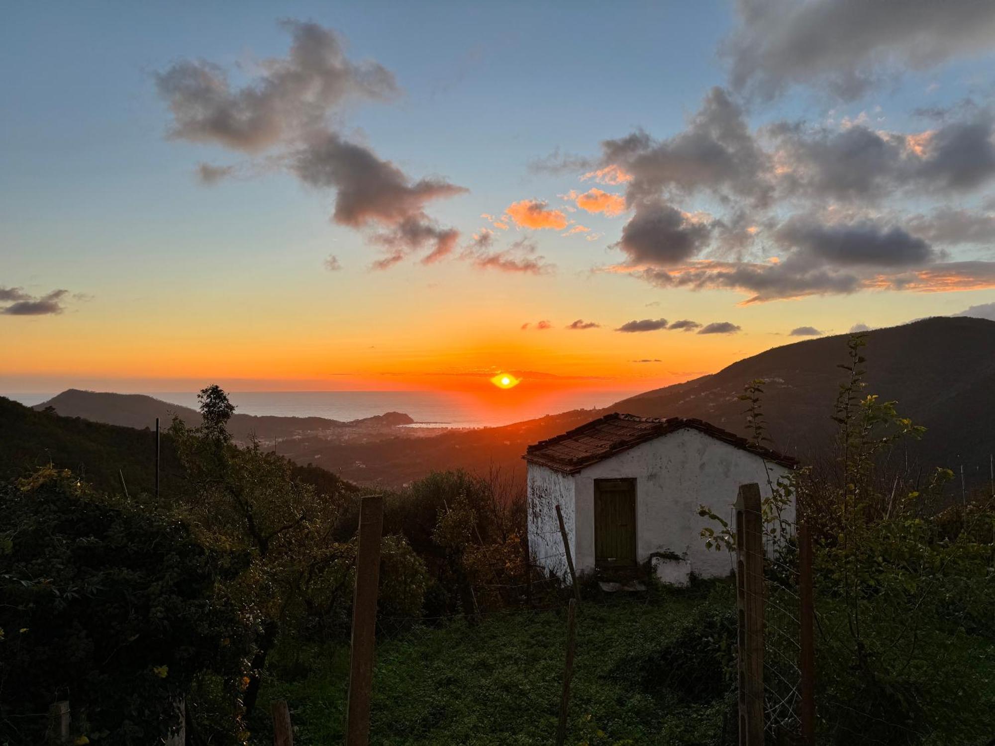 La Collina Sul Mare - Casa Vacanze Sestri Levante Bagian luar foto