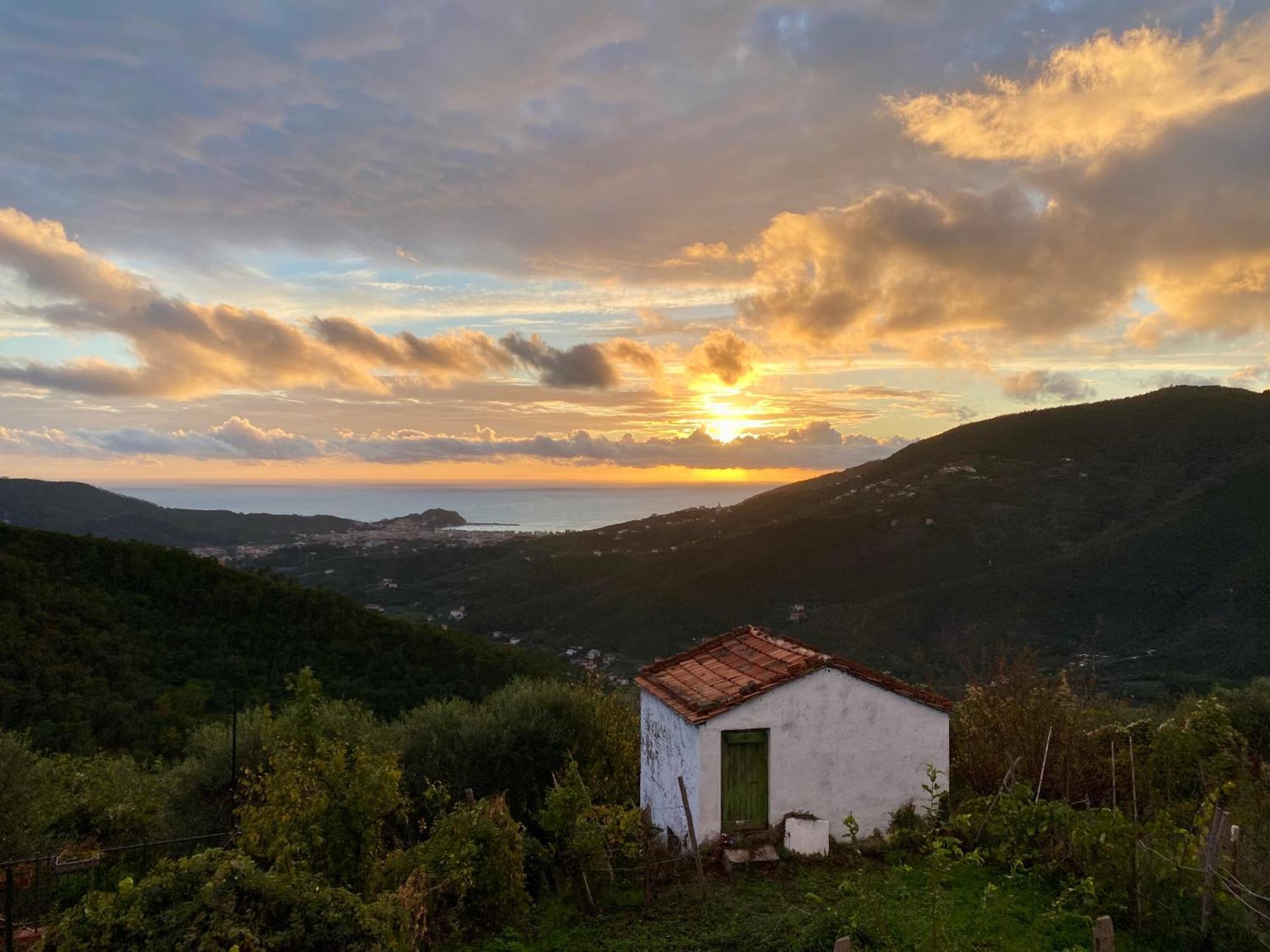 La Collina Sul Mare - Casa Vacanze Sestri Levante Bagian luar foto